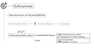  Peripheral glucose uptake
 Upregulation of insulin receptors
Sulfonylureas
Extra-pancreatic action
2nd , 3rd
In peripheral tissue :
Liver :  Gluconeogenesis
 Metabolism of insulin
 