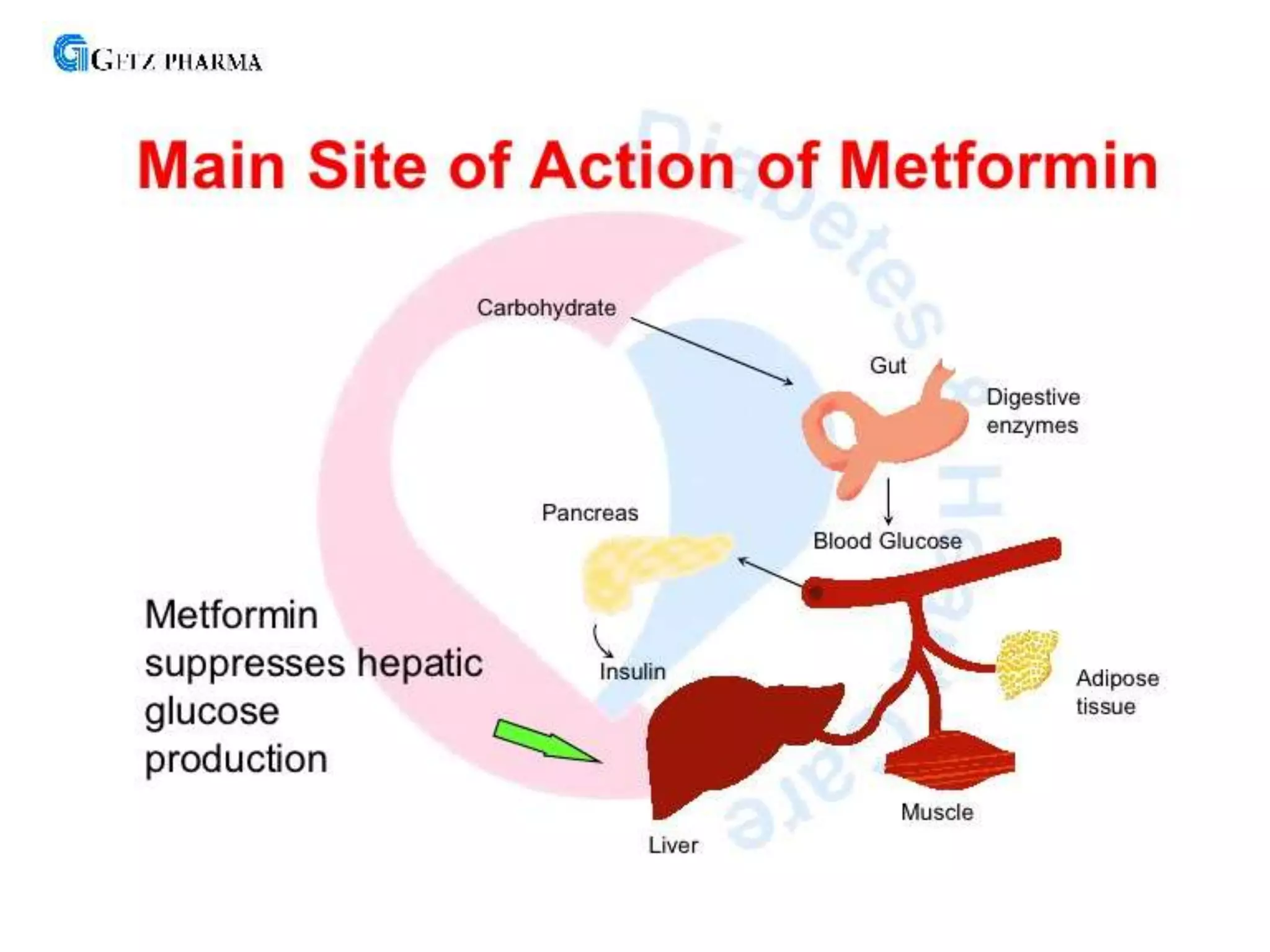 Insulin sensitizers | PPT