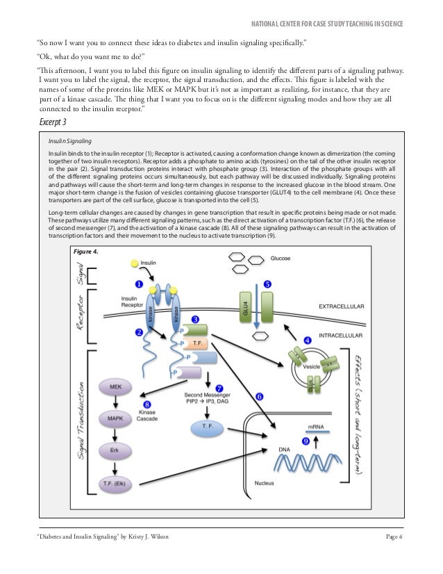 Diabetes case study answers