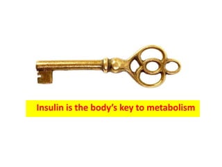 Insulin is the body’s key to metabolism
 
