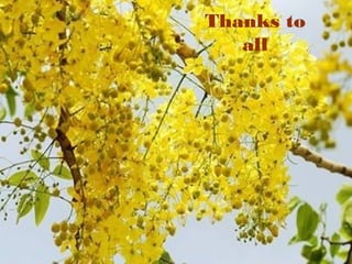 Thank you
Thanks to
all
 