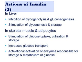 Actions of Insulin
(2)
In Liver
• Inhibition of glycogenolysis & gluconeogenesis
• Stimulation of glycogenesis & storage
In skeletal muscle & adipocytes
• Stimulation of glucose uptake, utilization &
storage
• Increases glucose transport
• Activation/inactivation of enzymes responsible for
storage & metabolism of glucose
 