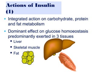 Insulin therapy for type 2 diabetes patients dr shahjadaselim1 | PPT