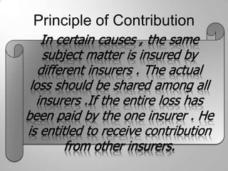 Principle of Contribution
 