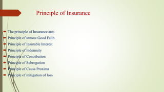 Insurance | PPTX