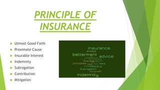 Utmost Insurance Insurance | PPTX