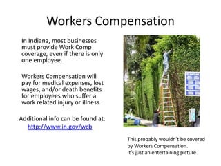 Workers Compensation
In Indiana, most businesses
must provide Work Comp
coverage, even if there is only
one employee.
Workers Compensation will
pay for medical expenses, lost
wages, and/or death benefits
for employees who suffer a
work related injury or illness.
Additional info can be found at:
http://www.in.gov/wcb
This probably wouldn’t be covered
by Workers Compensation.
It’s just an entertaining picture.
 