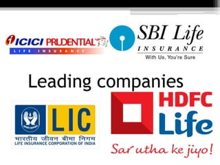 Leading companies
 