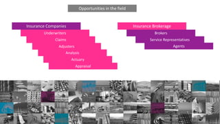 Underwriters
Opportunities in the field
Insurance Companies
Claims
Adjusters
Insurance Brokerage
Brokers
Analysis
Actuary
Service Representatives
Agents
Appraisal
 