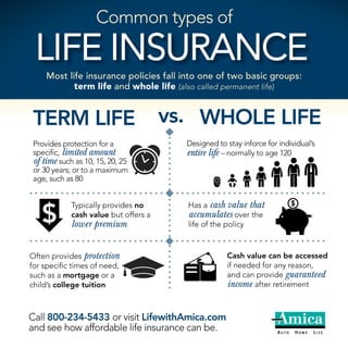 Common Types of Life Insurance Infographic
