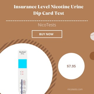 Insurance Level Nicotine Urine
Dip Card Test
NicoTests
$7.95
nicotests.com
BUY NOW
 