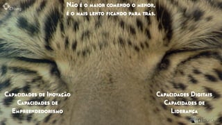 Não é o maior comendo o menor,
é o mais lento ﬁcando para trás.
Capacidades Digitais
Capacidades de
Liderança
Capacidades de Inovação
Capacidades de
Empreendedorismo
 