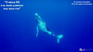 “O século XXI
é um tempo magniﬁco
para estar vivo”
As grandes navegações?
O ﬁm do mundo e os dragões.
 