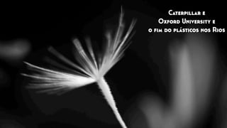 Caterpillar e
Oxford University e
o ﬁm do plásticos nos Rios
 