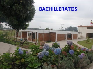 BACHILLERATOS