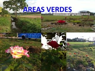 AREAS VERDES