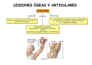 LESIONES ÓSEAS Y ARTICULARES 