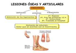 LESIONES ÓSEAS Y ARTICULARES 