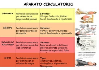 APARATO CIRCULATORIO LIPOTIMIA Pérdida de consciencia por retención de sangre en las piernas. Síntomas : Vértigo, Sudor frío, Palidez facial, Bradicardia e hipotensión SÍNCOPE Pérdida de consciencia por parada cardíaca o fibrilación. Síntomas : Vértigo, Sudor frío, Palidez facial, Bradicardia e hipotensión. INFARTO DE MIOCARDIO Pérdida de consciencia por obstrucción de las vías coronarias Síntomas : Dolor en el centro del tórax, Dolor en el brazo izquierdo, Respiración superficial, Pulso irregular SHOCK Pérdida de consciencia por disminución el volumen de sangre Tipos : Anafiláctico, Séptico, Cardiogénico, Hipovolémico, Neurogénico. 