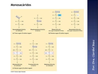 Por:Dra.ClaribelBáez
Monosacáridos
 