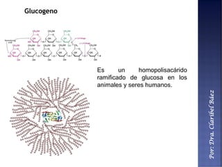 Por:Dra.ClaribelBáez
Glucogeno
Es un homopolisacárido
ramificado de glucosa en los
animales y seres humanos.
 