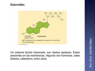 Por:Dra.ClaribelBáez
Esteroides
Un sistema biciclo fusionado, son lípidos apolares. Estan
presentes en las membranas. Algunos son homonas, sales
biliares, colesteron, entre otros.
 