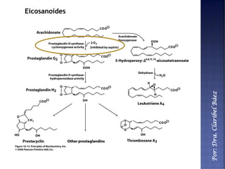 Por:Dra.ClaribelBáez
Eicosanoides
 