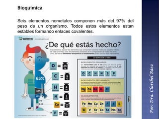 Por:Dra.ClaribelBáez
Bioquímica
Seis elementos nometales componen más del 97% del
peso de un organismo. Todos estos elementos estan
estables formando enlaces covalentes.
 