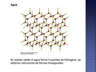 Agua
En estado sólido el agua forma 4 puentes de hidrogeno, se
obtienen estructuras de formas hexagonales.
 