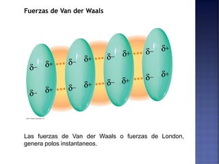 Fuerzas de Van der Waals
Las fuerzas de Van der Waals o fuerzas de London,
genera polos instantaneos.
 
