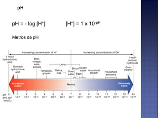 pH
pH = - log [H+] [H+] = 1 x 10-pH
Metros de pH
 