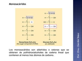 Por:Dra.ClaribelBáez
Monosacáridos
Los monosacáridos son aldehídos o cetonas que se
obtienen de polihidroxialcoholes de cadena lineal que
contienen al menos tres átomos de carbono.
 