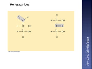 Por:Dra.ClaribelBáez
Monosacáridos
 
