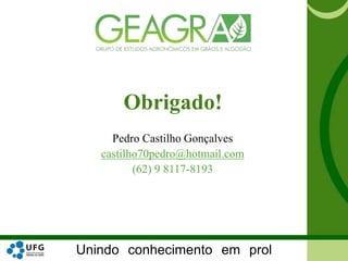 Unindo conhecimento em prol
Pedro Castilho Gonçalves
castilho70pedro@hotmail.com
(62) 9 8117-8193
Obrigado!
 