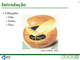  Utilizações:
 Grão;
 Farelo;
 Óleo.
Introdução
4
Fonte: UFRGS, 2020.
 