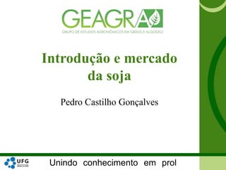 Unindo conhecimento em prol
Introdução e mercado
da soja
Pedro Castilho Gonçalves
 