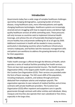 Development Health Care Sector in Egypt | PDF