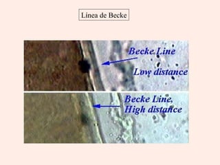 Línea de Becke 