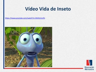Vídeo Vida de Inseto
https://www.youtube.com/watch?v=iIHJhj1mnPs
 