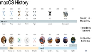 Introduction to Information Technology
4.2. Information Systems: Software (Operating Systems)
1.3. Operating Systems
35
Functions of an Operating System
(2022) 12
Monterey
(2023) 13
Ventura
(2024) 14
Sonoma
 