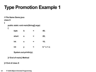 Comprehensive Introduction to Java Primitive Types, Type Promotion, and ...