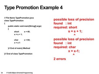 Comprehensive Introduction to Java Primitive Types, Type Promotion, and ...