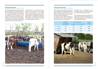 Inta experiencia-de-engorde-de-terneros-macho-holando