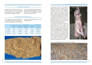 Inta experiencia-de-engorde-de-terneros-macho-holando