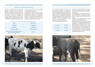 Inta experiencia-de-engorde-de-terneros-macho-holando