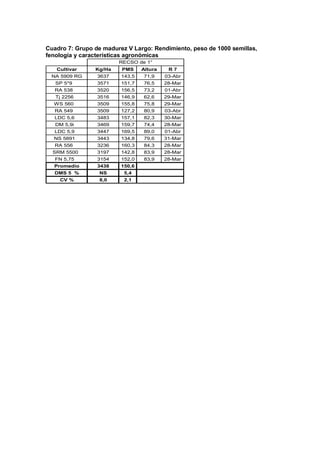 Cuadro 7: Grupo de madurez V Largo: Rendimiento, peso de 1000 semillas,
fenología y características agronómicas
Cultivar Kg/Ha PMS Altura R 7
NA 5909 RG 3637 143,5 71,9 03-Abr
SP 5*9 3571 151,7 76,5 28-Mar
RA 538 3520 156,5 73,2 01-Abr
Tj 2256 3516 146,9 62,6 29-Mar
WS 560 3509 155,8 75,8 29-Mar
RA 549 3509 127,2 80,9 03-Abr
LDC 5,6 3483 157,1 82,3 30-Mar
DM 5,9i 3469 159,7 74,4 28-Mar
LDC 5,9 3447 169,5 89,0 01-Abr
NS 5891 3443 134,8 79,6 31-Mar
RA 556 3236 160,3 84,3 28-Mar
SRM 5500 3197 142,8 83,9 28-Mar
FN 5,75 3154 152,0 83,9 28-Mar
Promedio 3438 150,6
DMS 5 % NS 5,4
CV % 8,0 2,1
RECSO de 1°
 