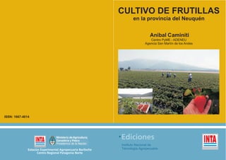ISSN: 1667-4014
CULTIVO DE FRUTILLAS
en la provincia del Neuquén
Anibal Caminiti
Centro PyME - ADENEU
Agencia San Martín de los Andes
 