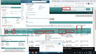 IntAct Database.pptx