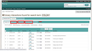 IntAct Database.pptx