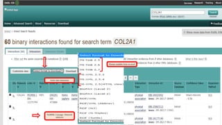 IntAct Database.pptx